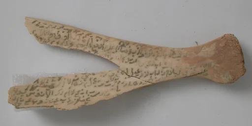 Bone Fragment