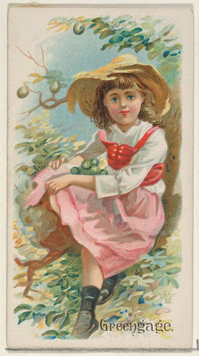 Greengage, from the Fruits series (N12) for Allen & Ginter Cigarettes Brands — Allen & Ginter|George S. Harris & Sons