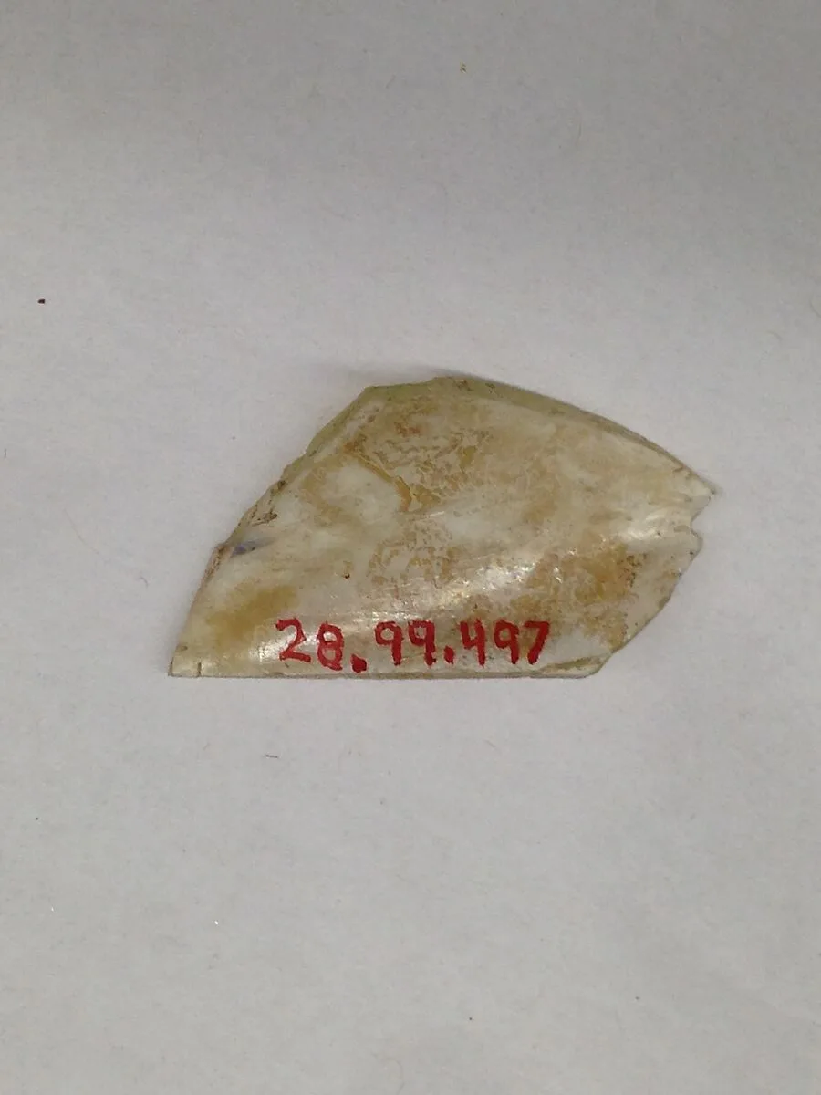 Fragment — Unknown