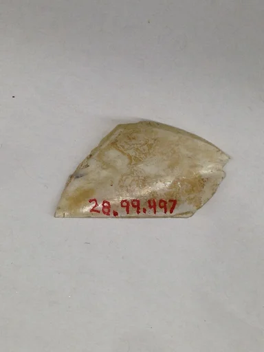 Fragment