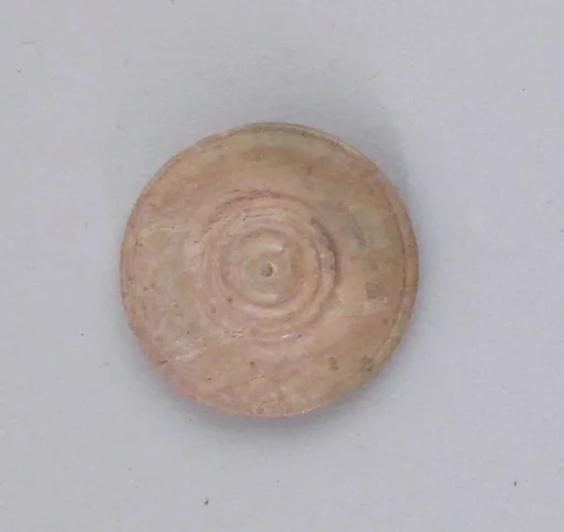 Disk or button