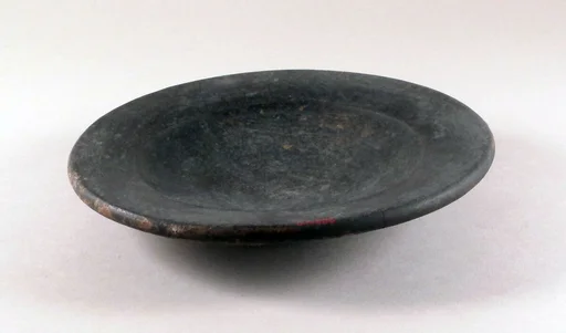 Dish