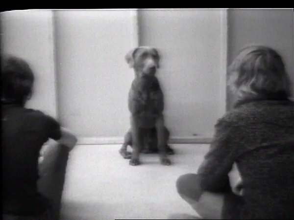 Calling Man Ray — William Wegman