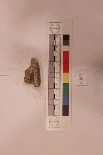 Stucco Fragment