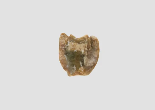Bead