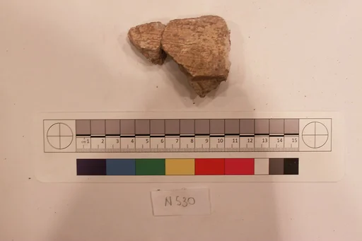 Stucco Fragment