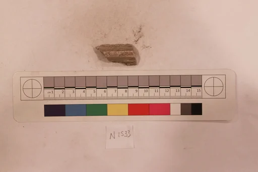 Stucco Fragment