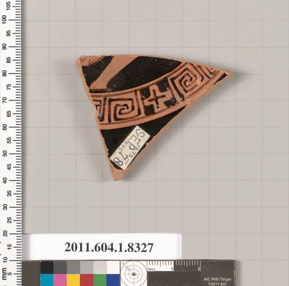 Terracotta fragment of a kylix (drinking cup) — Unknown