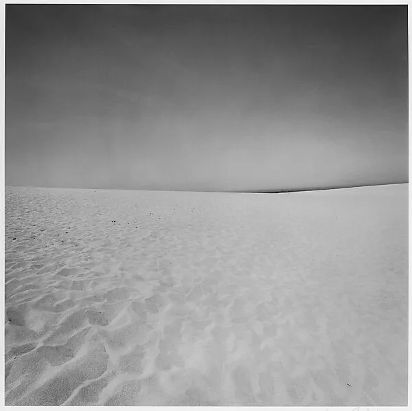 Cape Cod — Harry Callahan