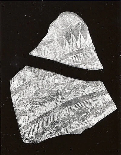 Fragments of a Dish