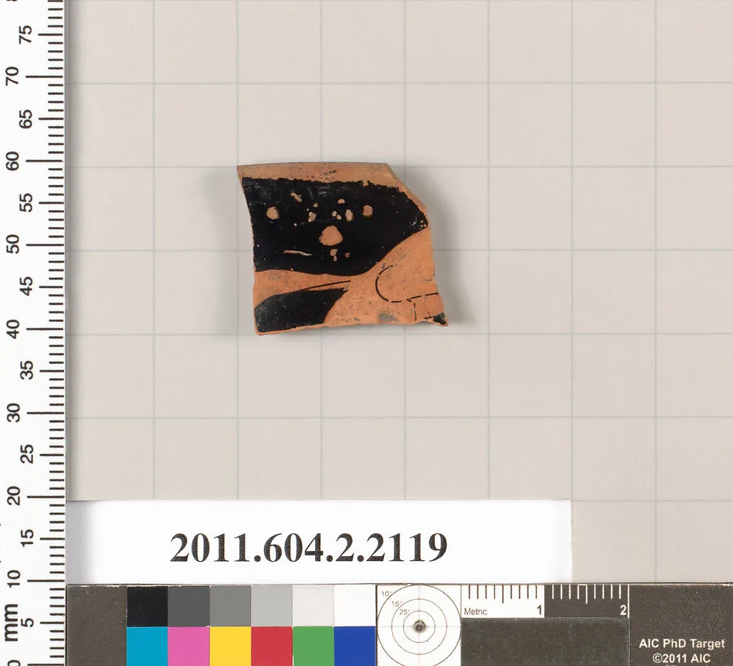Terracotta fragment of a rhyton (vase for libations and drinking) — Unknown