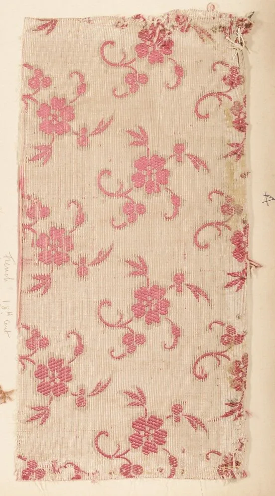 Fragment — Unknown