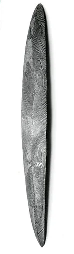 Parrying Shield