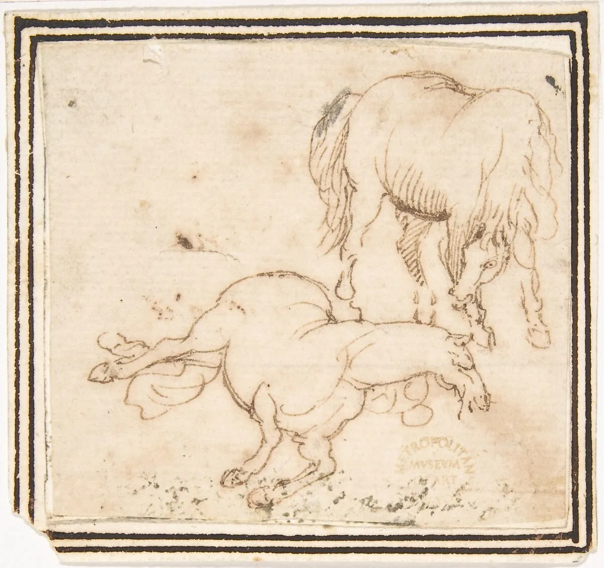 Horses — Francesco Allegrini