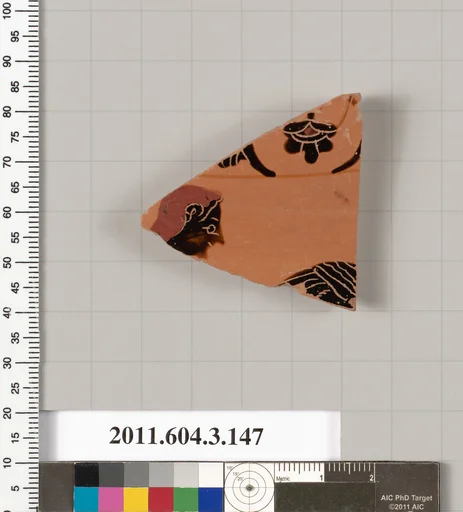 Terracotta fragment of an amphora (jar)