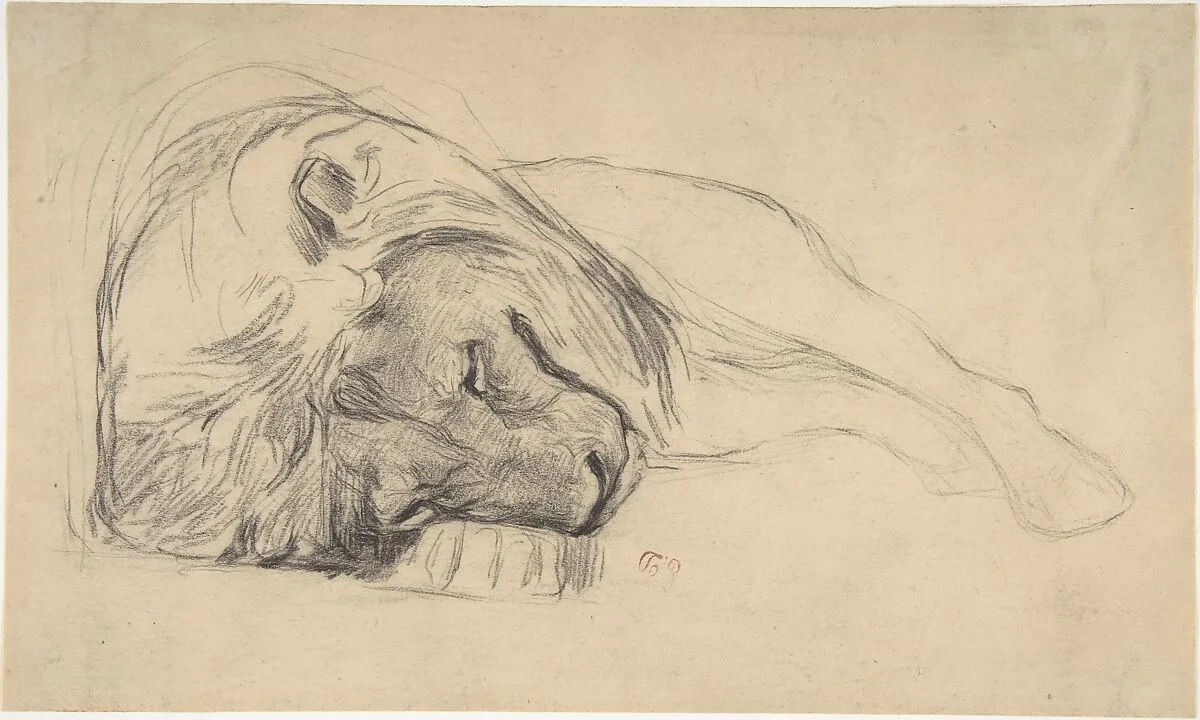 The Head of a Recumbent Lion — Pierre Andrieu|Eugène Delacroix