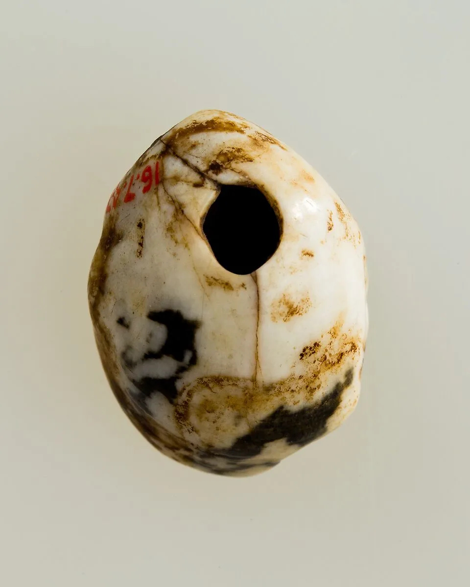 Shell pendant or bead — Unknown