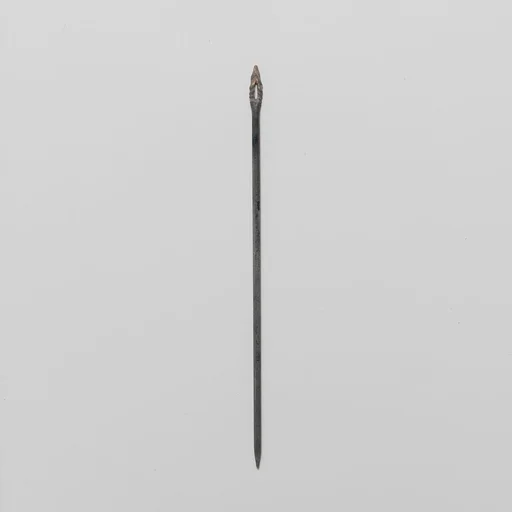 Glass needle