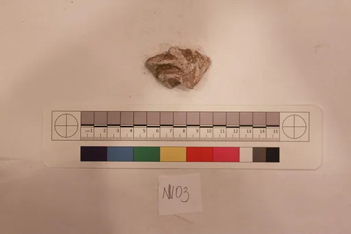 Stucco Fragment