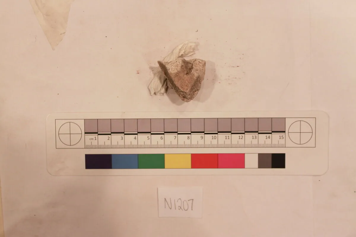 Stucco Fragment — Unknown