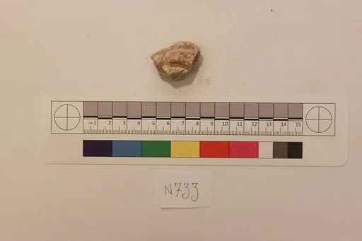 Stucco Fragment