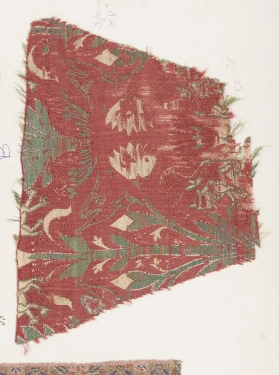 Fragment — Unknown