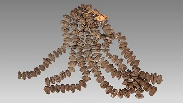 Rattle — Unknown