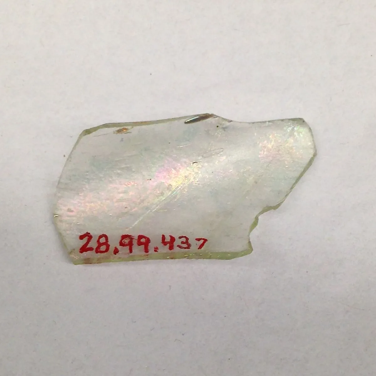 Fragment — Unknown