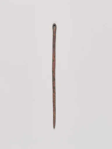 Needle
