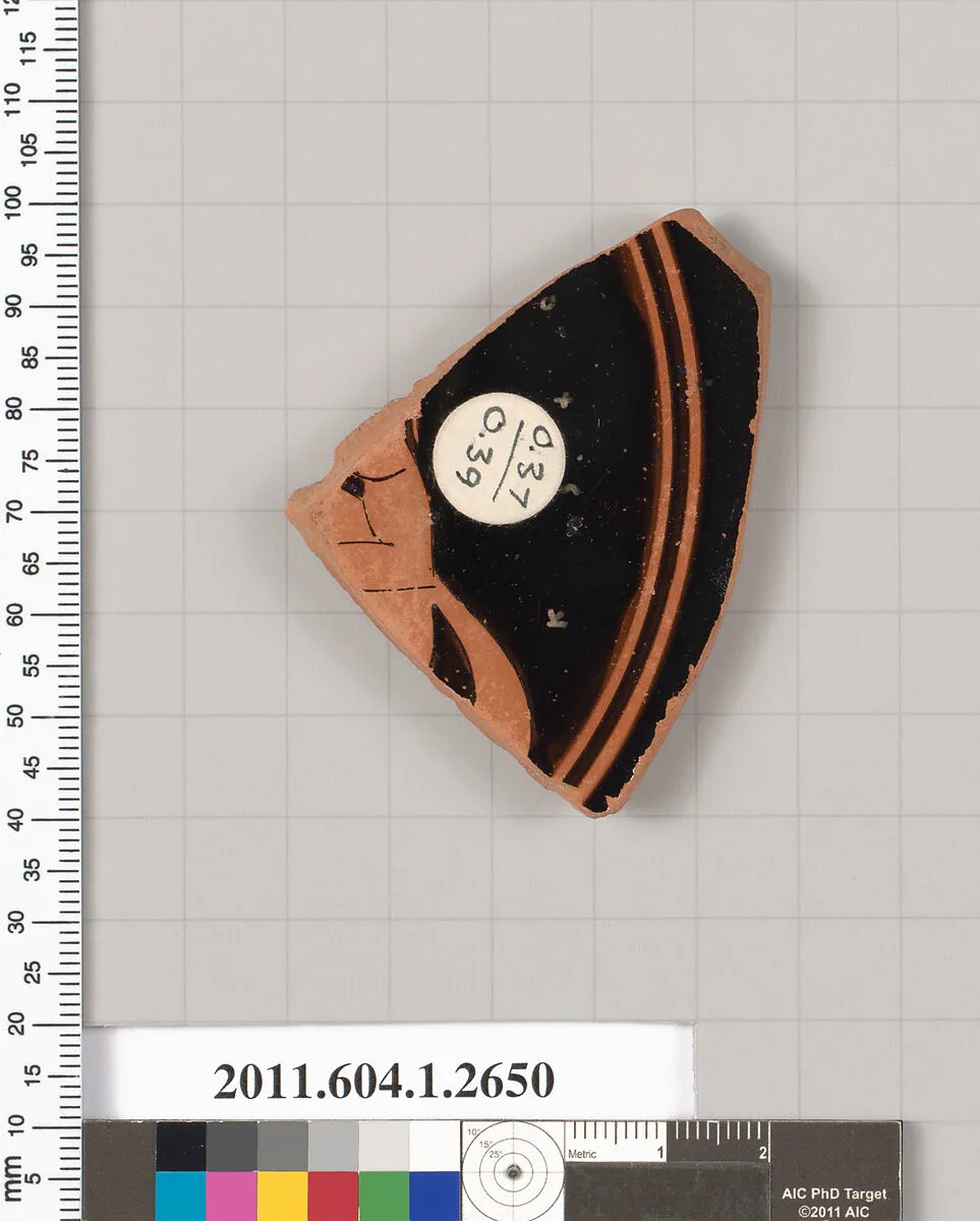 Terracotta fragment of a kylix (drinking cup) — Unknown