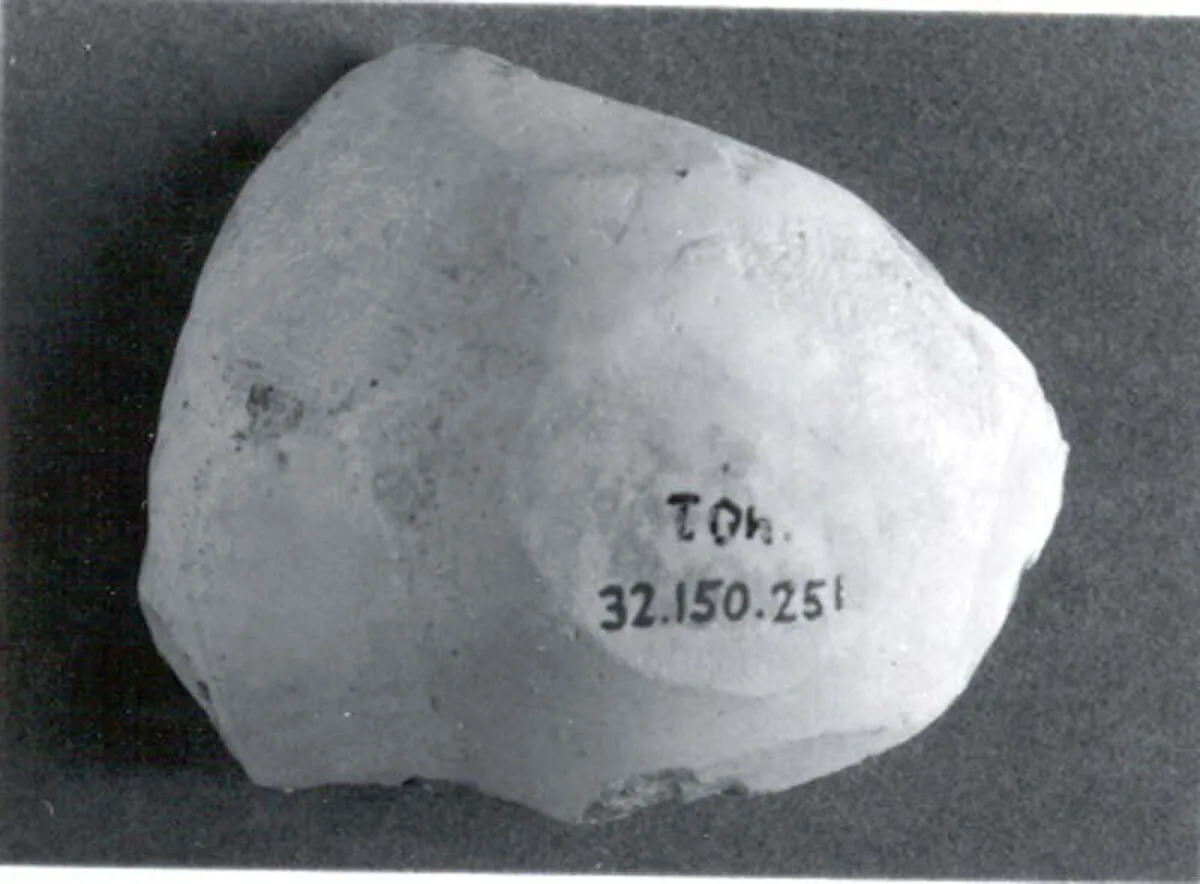 Bowl — Unknown