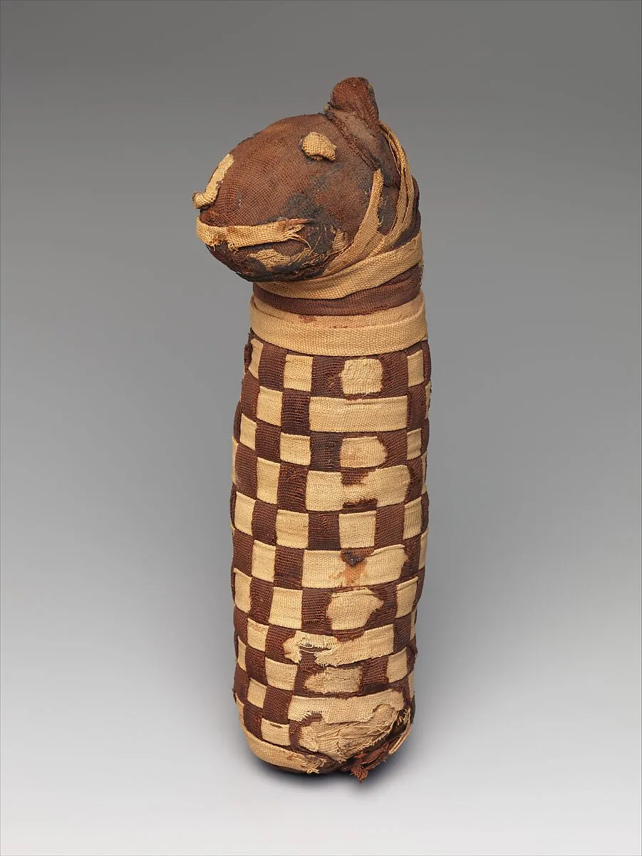 Sacred animal mummy containing dog bones — Unknown