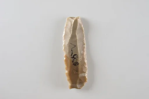 Sickle Insert