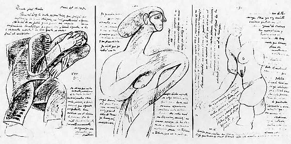 Regarding a Tamayo Translation — José Luis Cuevas