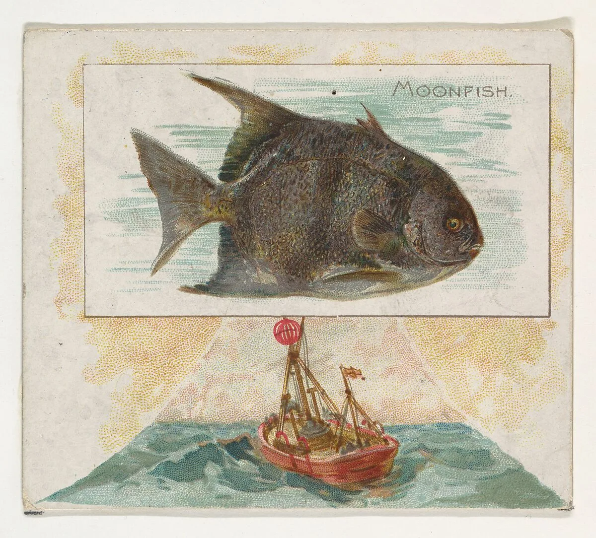 Moonfish, from Fish from American Waters series (N39) for Allen & Ginter Cigarettes — Allen & Ginter|Lindner, Eddy & Claus