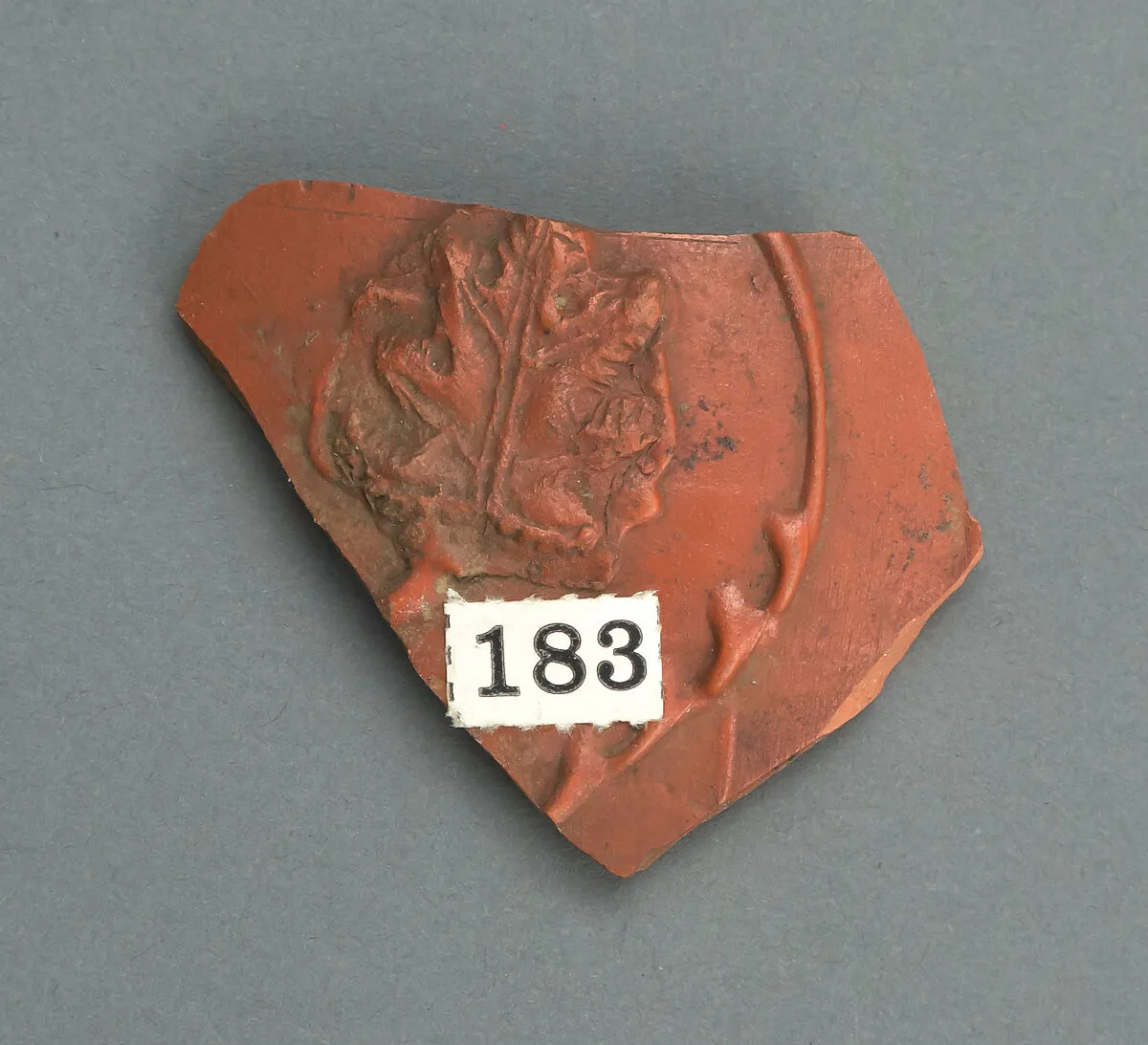 Vase fragment — Unknown
