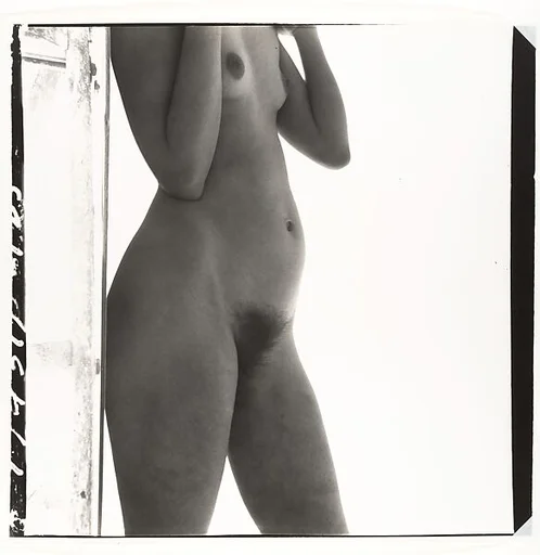 Nude No. 19
