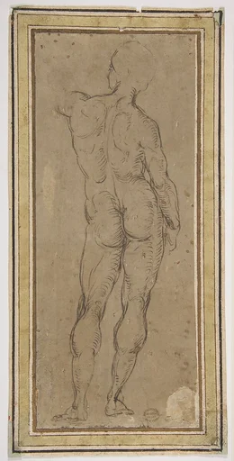 Male Figure Seen from Rear, after a drawing by Michelangelo