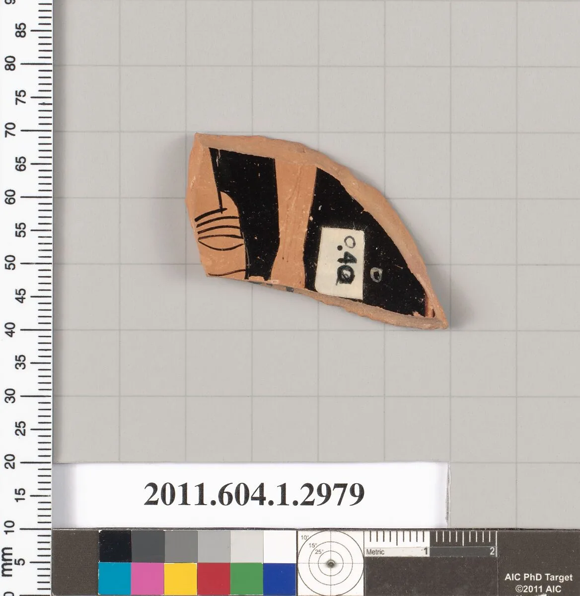 Terracotta fragment of a kylix (drinking cup) — Unknown