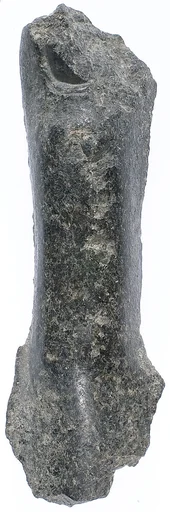 Toe