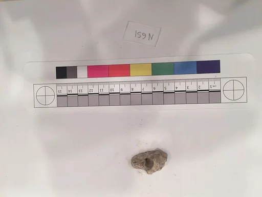 Stucco Fragment