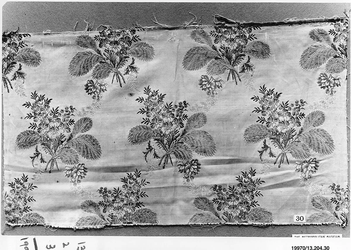 Fragment — Unknown