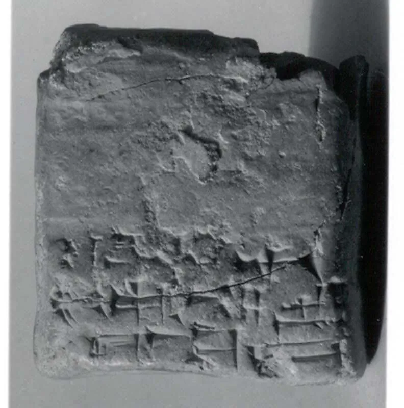 Cuneiform tablet case impressed with cylinder seal, for cuneiform tablet 11.217.9a: receipt of a goat — Unknown