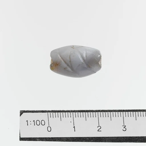 Seal