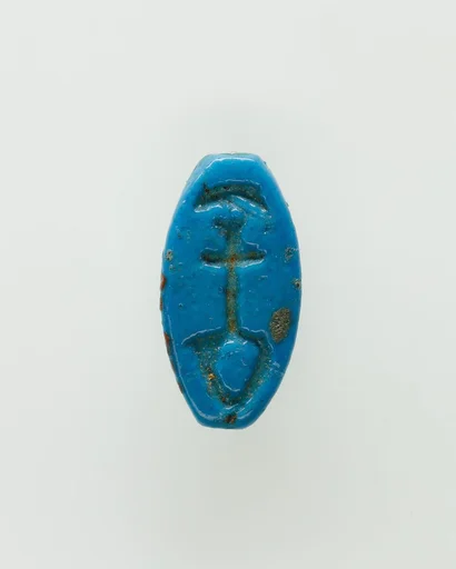 Cowroid Inscribed with a Nefer Hieroglyph