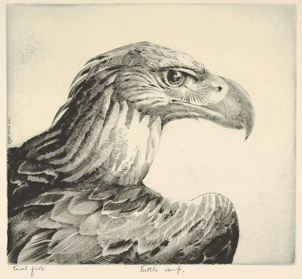 Aquiline (Eagle Head) — Henry Emerson Tuttle