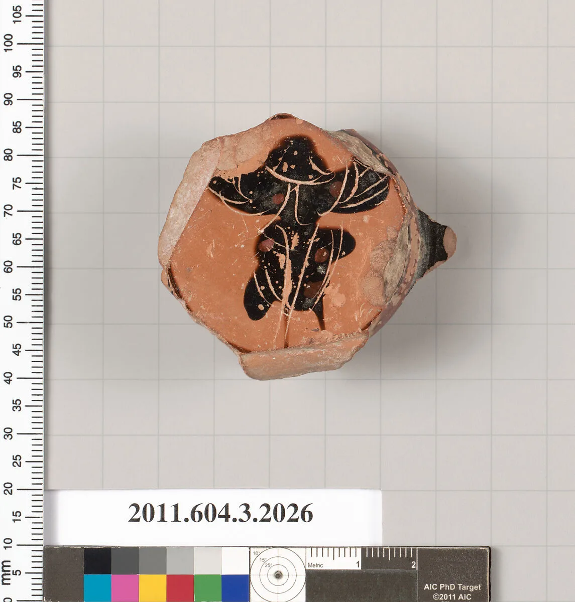 Terracotta fragment of a kylix (drinking cup) — Unknown