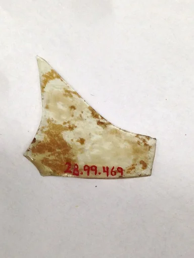 Fragment