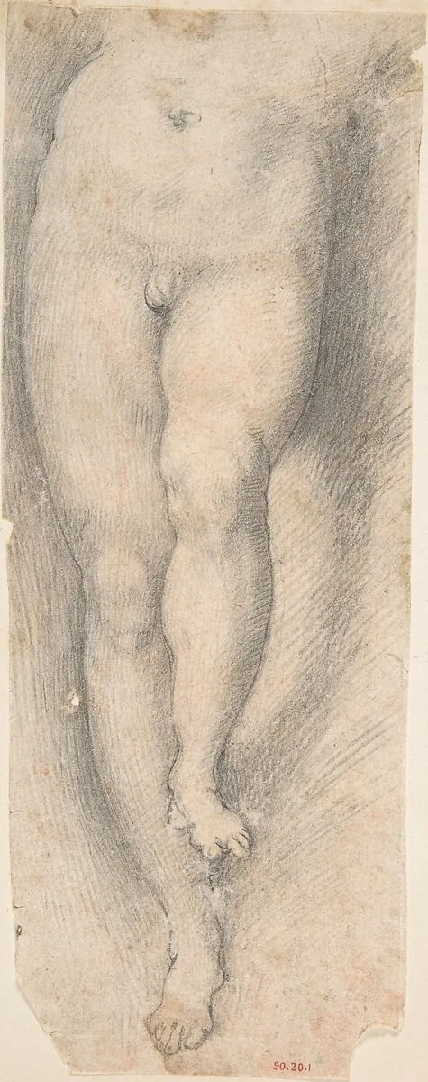 Study for Lower Part of Torso and Legs of a Young Boy — Pomarancio (Cristoforo Roncalli)