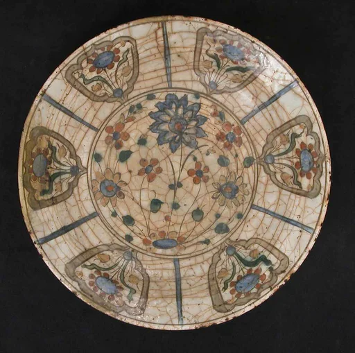 Dish